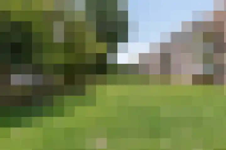 Krabbendijkestraat 359 Rotterdam thumbnail 31