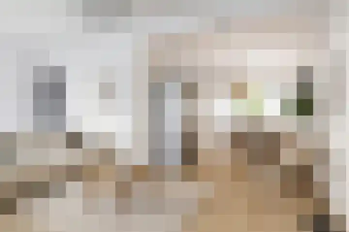 Krabbendijkestraat 359 Rotterdam thumbnail 6