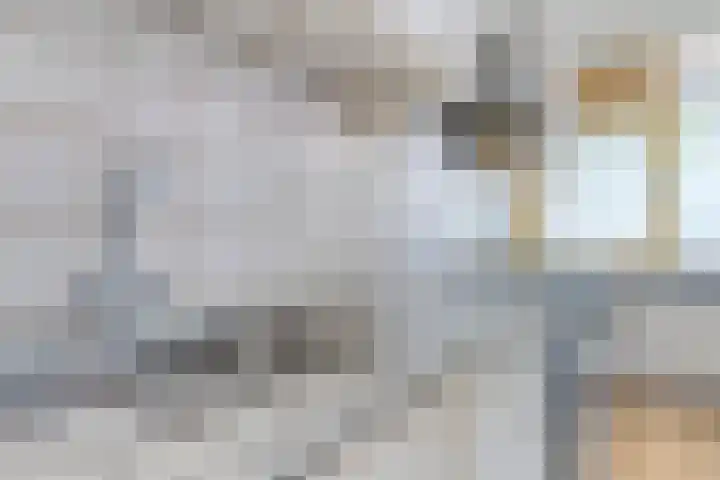 Krabbendijkestraat 359 Rotterdam thumbnail 9