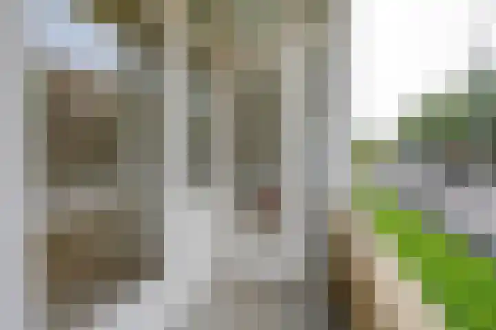 Krabbendijkestraat 366 Rotterdam thumbnail 22
