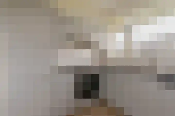 Krabbendijkestraat 366 Rotterdam thumbnail 4