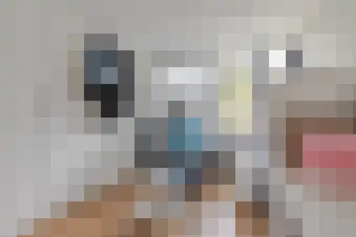 Krabbendijkestraat 377 Rotterdam thumbnail 12