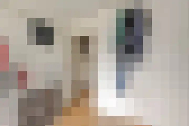 Krabbendijkestraat 377 Rotterdam thumbnail 13