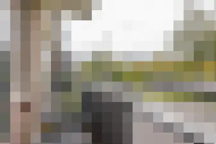 Krabbendijkestraat 377 Rotterdam thumbnail 17
