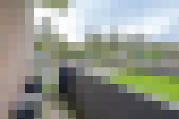 Krabbendijkestraat 377 Rotterdam thumbnail 19