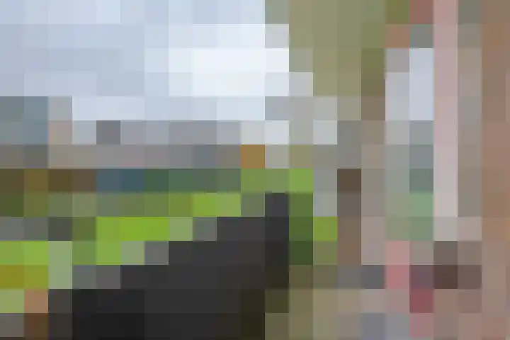 Krabbendijkestraat 377 Rotterdam thumbnail 20