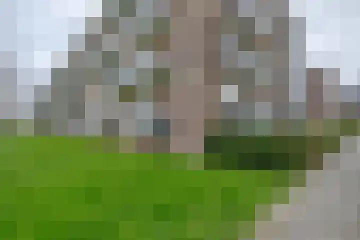 Krabbendijkestraat 377 Rotterdam thumbnail 25