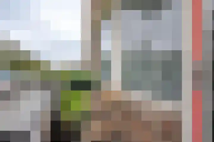 Krabbendijkestraat 377 Rotterdam thumbnail 5