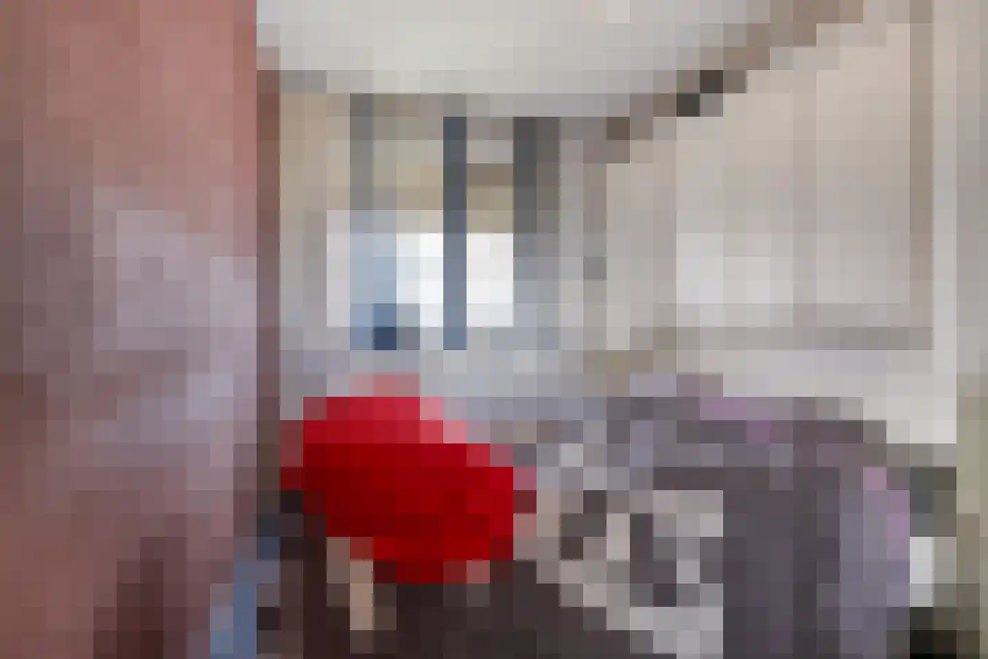 Krabbendijkestraat 382 Rotterdam thumbnail 10