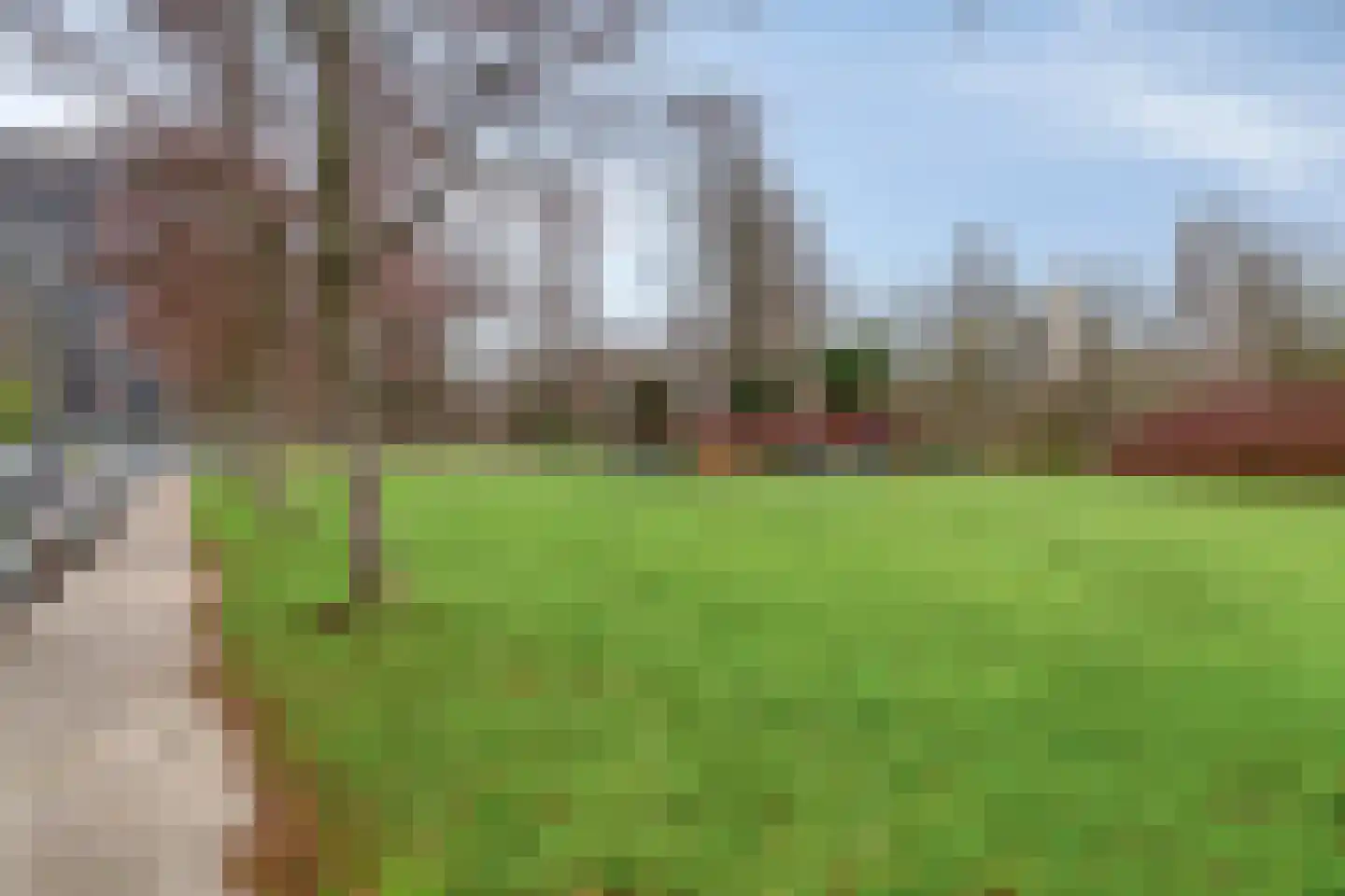 Krabbendijkestraat 382 Rotterdam thumbnail 16