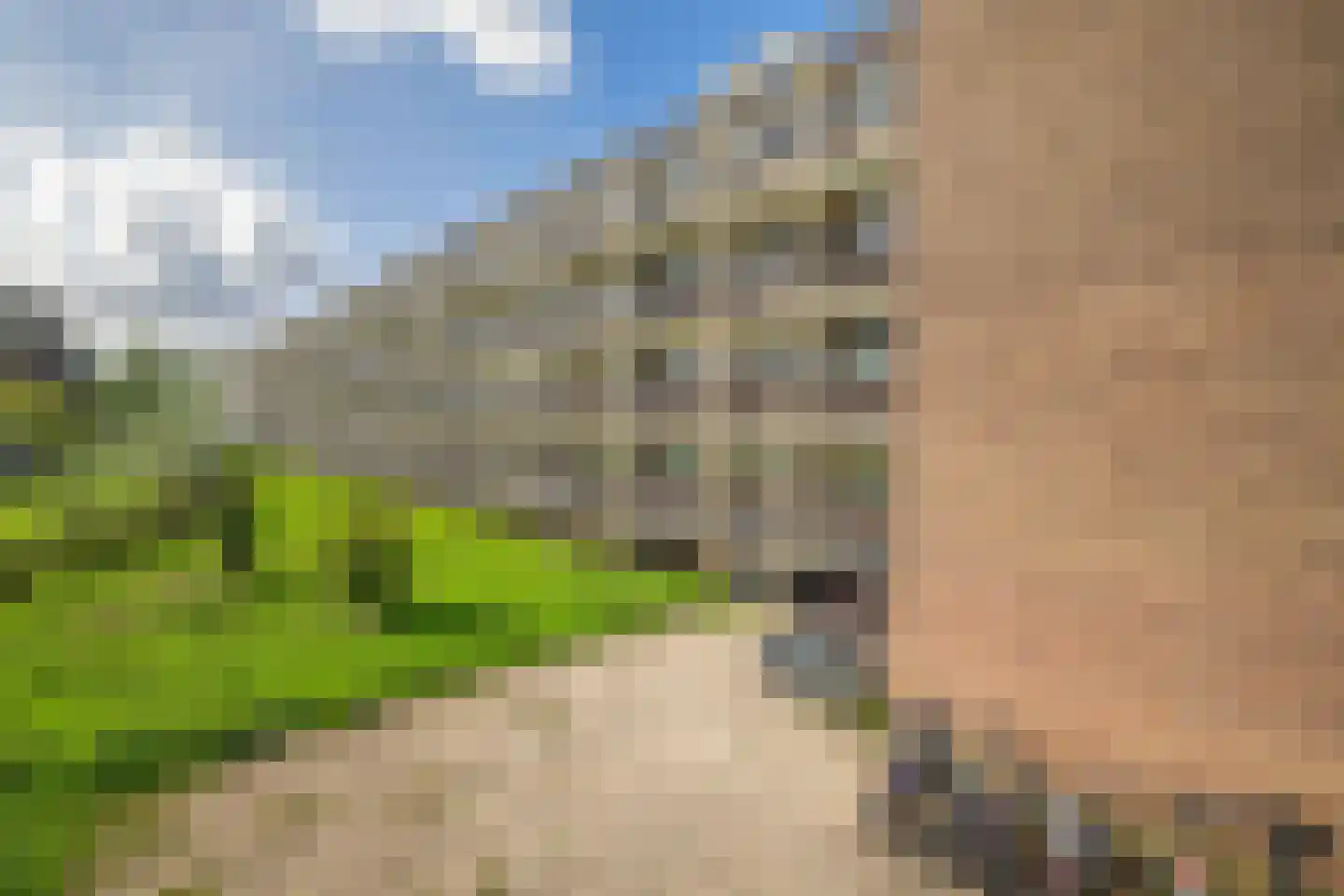 Krabbendijkestraat 386 Rotterdam thumbnail 31
