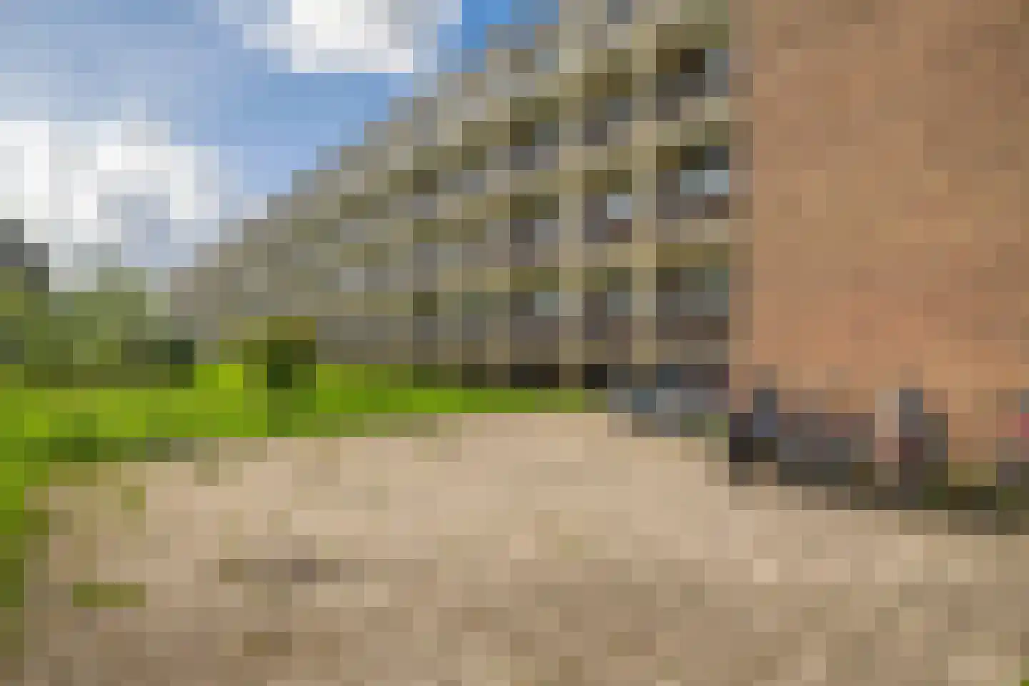 Krabbendijkestraat 386 Rotterdam thumbnail 32