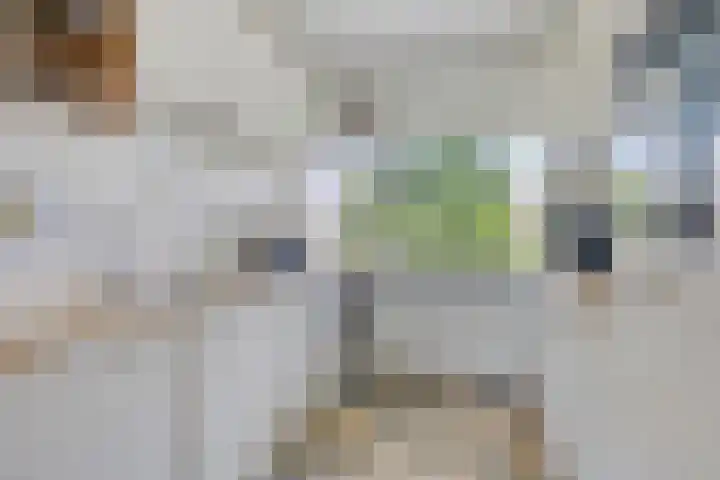 Krabbendijkestraat 409 Rotterdam thumbnail 8