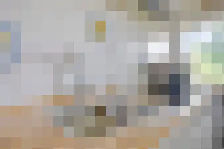 Krabbendijkestraat 409 Rotterdam thumbnail 9