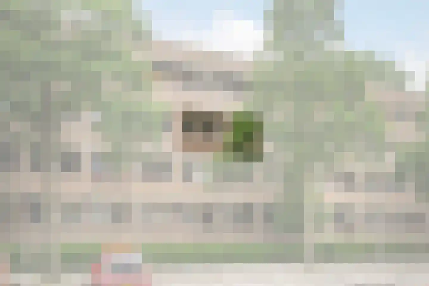 Krabbendijkestraat 413 Rotterdam thumbnail 4