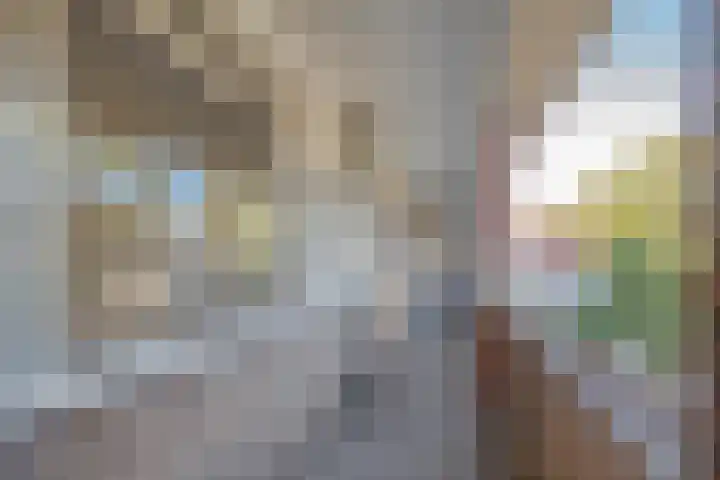 Krabbendijkestraat 423 Rotterdam thumbnail 8