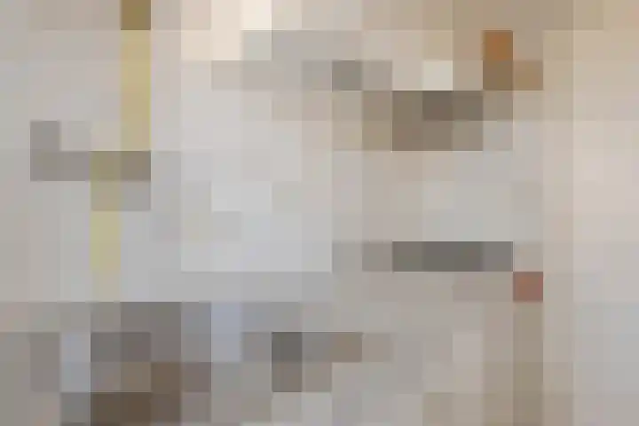 Krabbendijkestraat 423 Rotterdam thumbnail 9