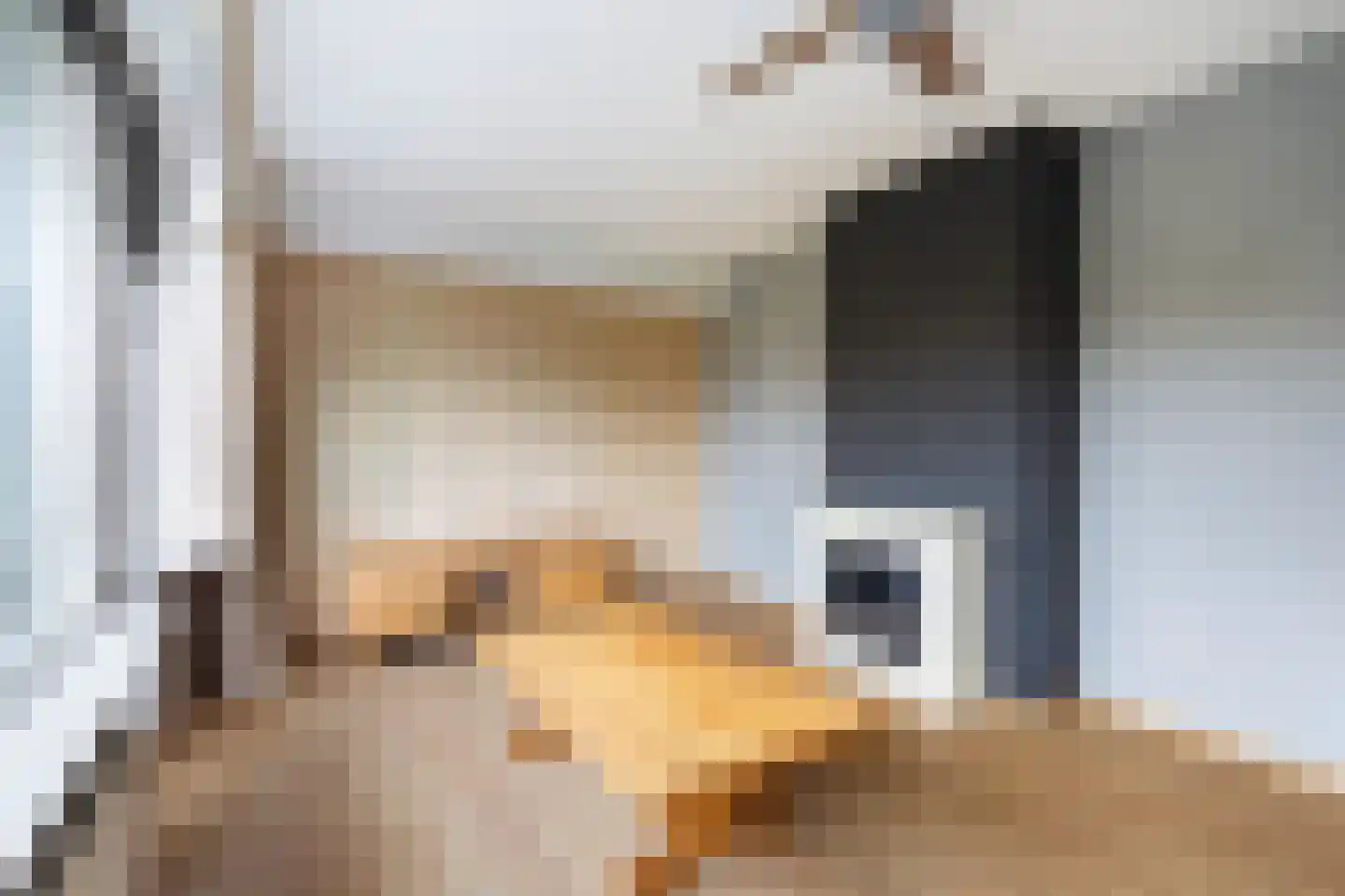 Krabbendijkestraat 438 Rotterdam thumbnail 10