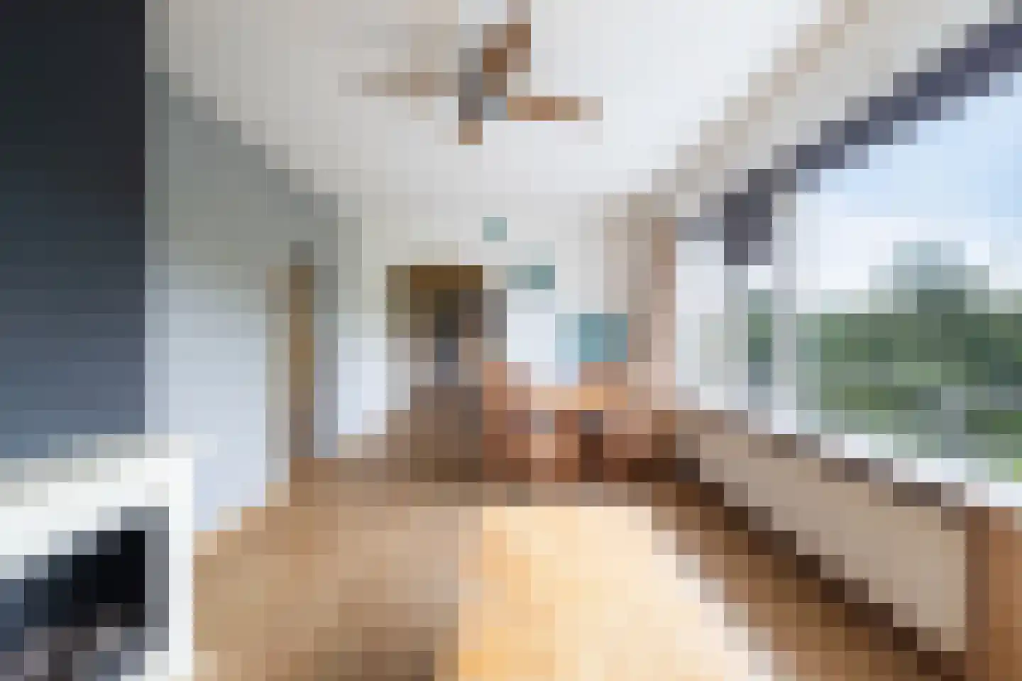 Krabbendijkestraat 438 Rotterdam thumbnail 12