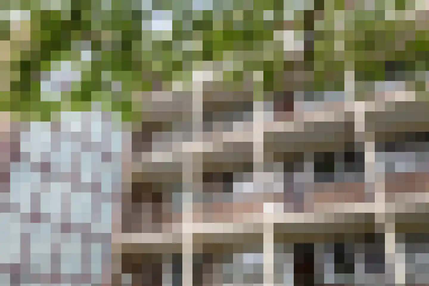 Krabbendijkestraat 438 Rotterdam thumbnail 21