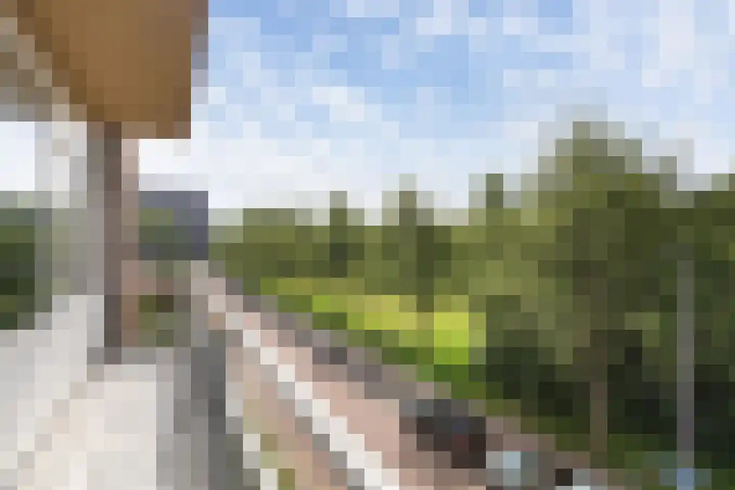 Krabbendijkestraat 438 Rotterdam thumbnail 23