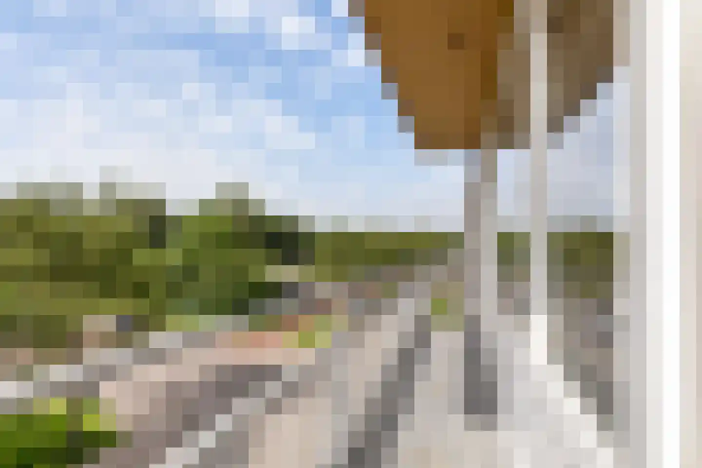 Krabbendijkestraat 438 Rotterdam thumbnail 25