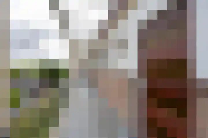 Krabbendijkestraat 448 Rotterdam thumbnail 8