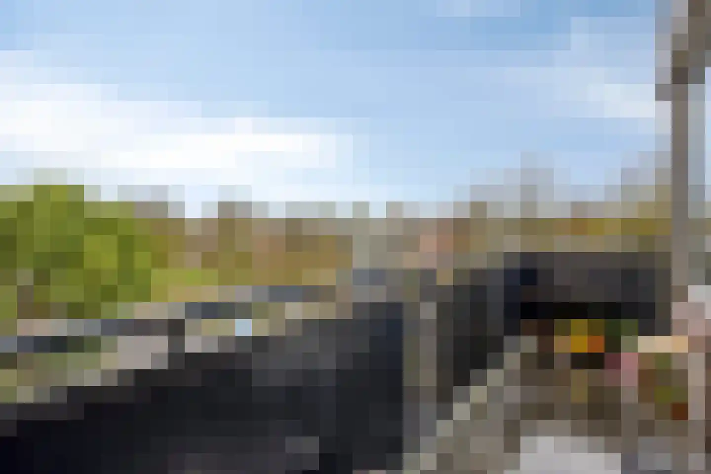 Krabbendijkestraat 7 Rotterdam thumbnail 19