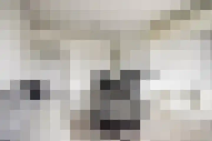 Krabbendijkestraat 87 Rotterdam thumbnail 5