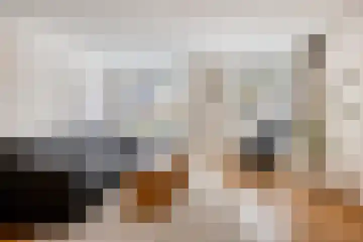 Krabbenhoek 17 Heesch thumbnail 10