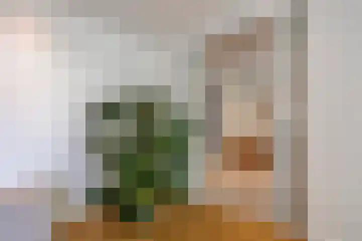Krabbenhoek 17 Heesch thumbnail 15