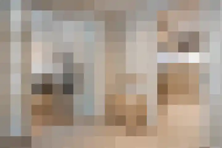 Krabbenhoek 17 Heesch thumbnail 21