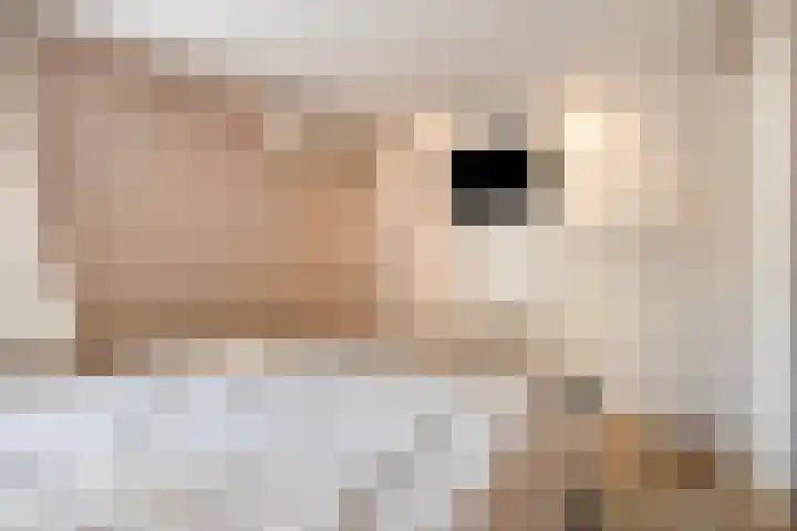 Krabbenhoek 17 Heesch thumbnail 28