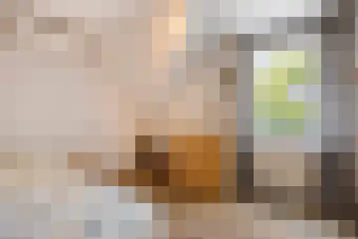 Krabbenhoek 17 Heesch thumbnail 33