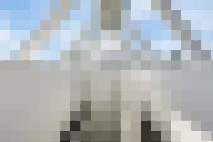 Krabbenhoek 17 Heesch thumbnail 36