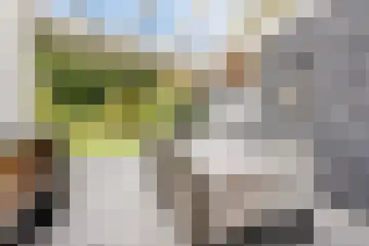 Krabbenhoek 17 Heesch thumbnail 39
