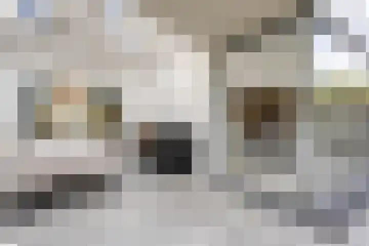 Krabbenhoek 17 Heesch thumbnail 40