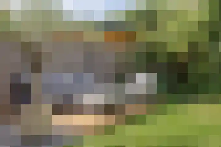 Krabbenhoek 17 Heesch thumbnail 41