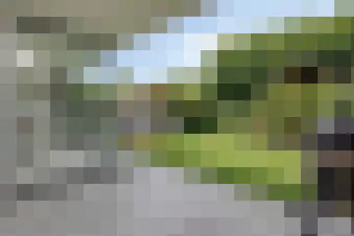 Krabbenhoek 17 Heesch thumbnail 42