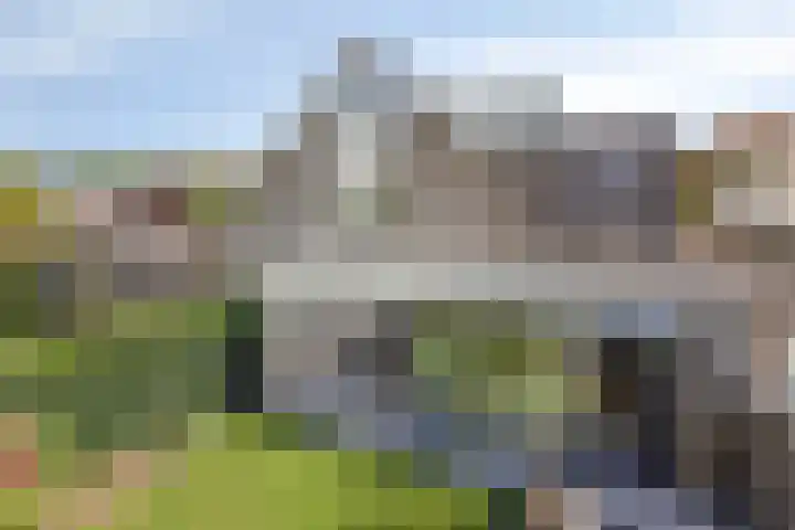 Krabbenhoek 17 Heesch thumbnail 44