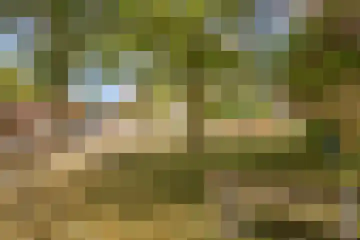 Krabbenhoek 17 Heesch thumbnail 47