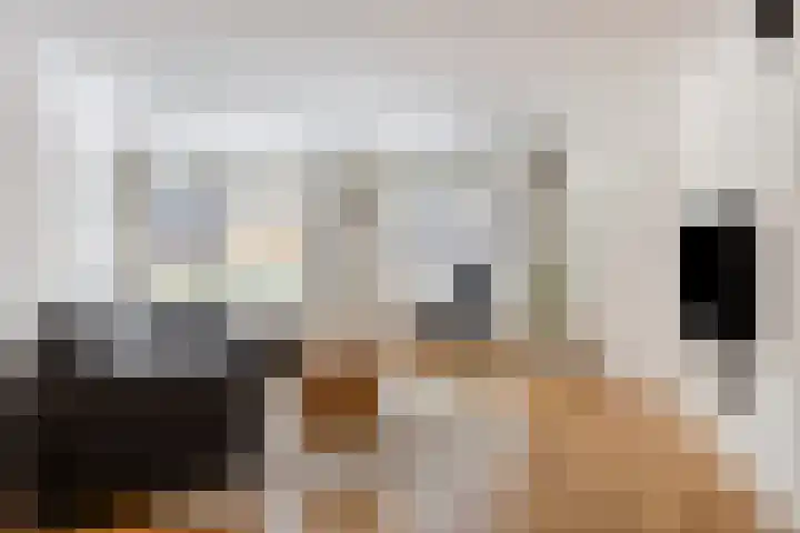 Krabbenhoek 17 Heesch thumbnail 9