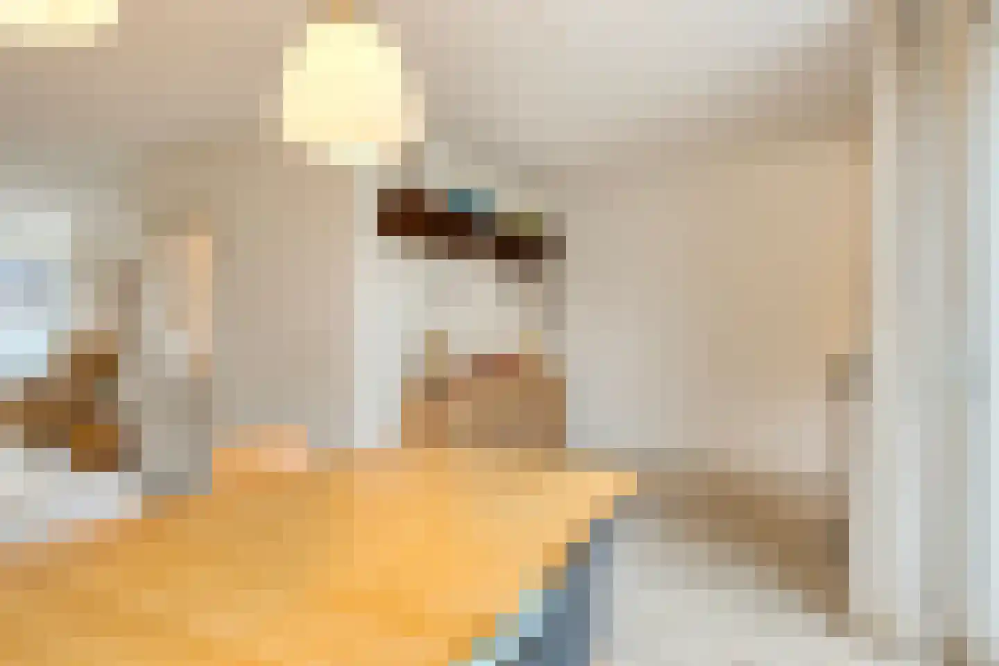 Krabbenhoek 9 Heesch thumbnail 11