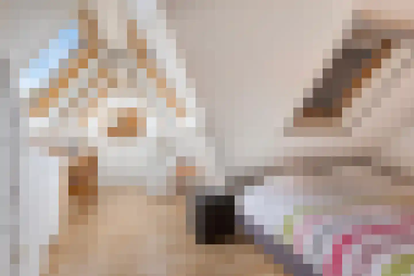 Krabbenhoek 9 Heesch thumbnail 33
