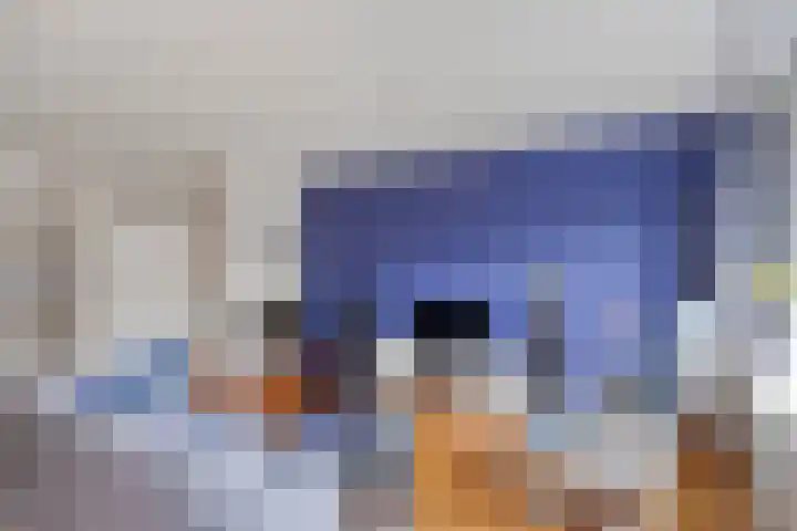 Krabbenkreek 43 Amersfoort thumbnail 10