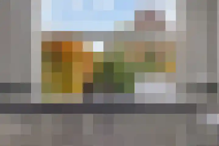 Krabbenkreek 43 Amersfoort thumbnail 6