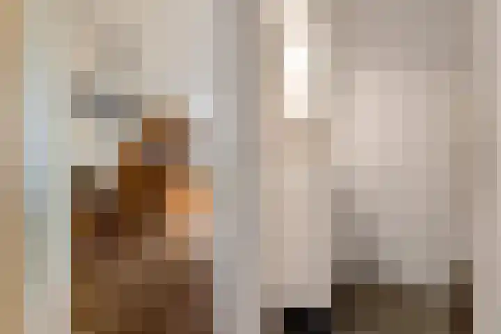 Krabbescheer 12 Nieuw-Buinen thumbnail 14