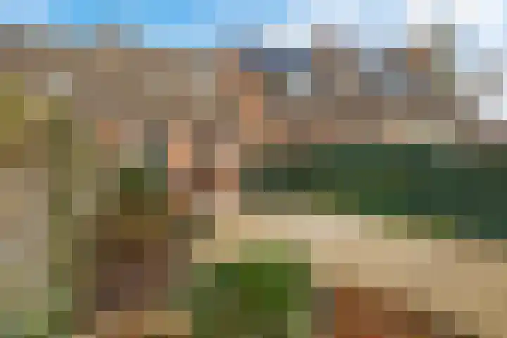 Krabbescheer 12 Nieuw-Buinen foto 2