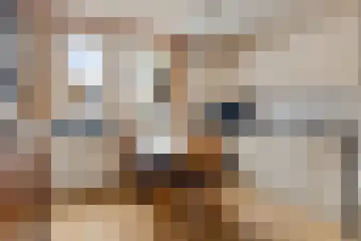 Krabbescheer 12 Nieuw-Buinen thumbnail 21