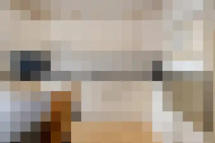 Krabbescheer 12 Nieuw-Buinen thumbnail 22